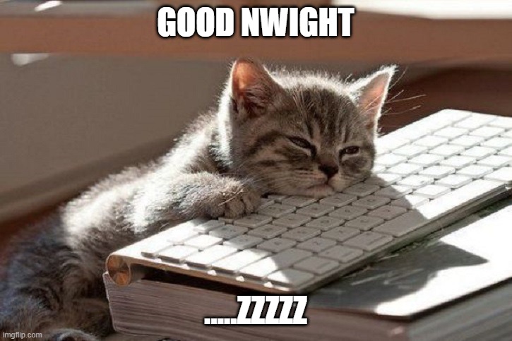 Zzzzz | GOOD NWIGHT; .....ZZZZZ | image tagged in too tired,gn,cat,msmg | made w/ Imgflip meme maker