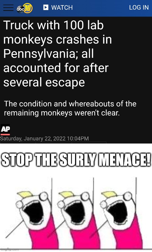 monktifa wreaking havoc | STOP THE SURLY MENACE! | image tagged in memes,what do we want 3 | made w/ Imgflip meme maker