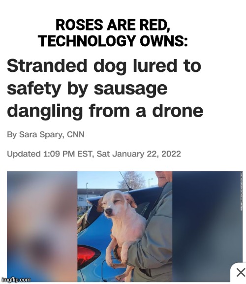 Peak journalism | ROSES ARE RED, TECHNOLOGY OWNS: | image tagged in funny memes,lol so funny | made w/ Imgflip meme maker