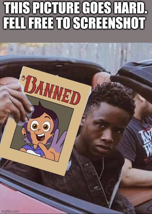 THIS PICTURE GOES HARD. FELL FREE TO SCREENSHOT | made w/ Imgflip meme maker