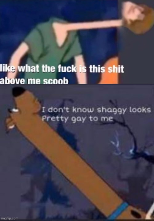 image tagged in what the fuck is this shit above me scoob | made w/ Imgflip meme maker