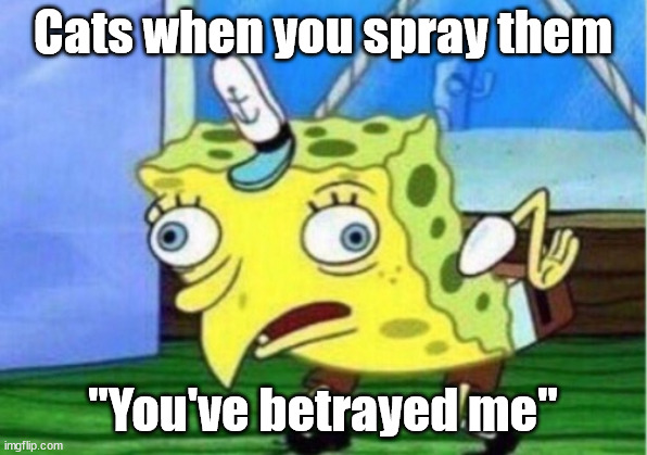 rip | Cats when you spray them; "You've betrayed me" | image tagged in memes,mocking spongebob | made w/ Imgflip meme maker