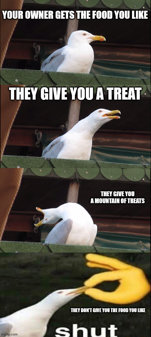 give the poor boy some of that food :( | YOUR OWNER GETS THE FOOD YOU LIKE; THEY GIVE YOU A TREAT; THEY GIVE YOU A MOUNTAIN OF TREATS; THEY DON'T GIVE YOU THE FOOD YOU LIKE | image tagged in memes,inhaling seagull | made w/ Imgflip meme maker