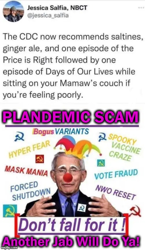 What Is The Definition of 'Insanity'? | PLANDEMIC SCAM | image tagged in politics,plandemic,cdc,covid jab,insanity,lies | made w/ Imgflip meme maker