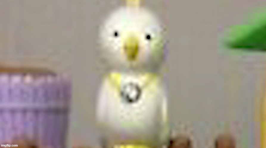 This bird has seen things | image tagged in this bird has seen things | made w/ Imgflip meme maker