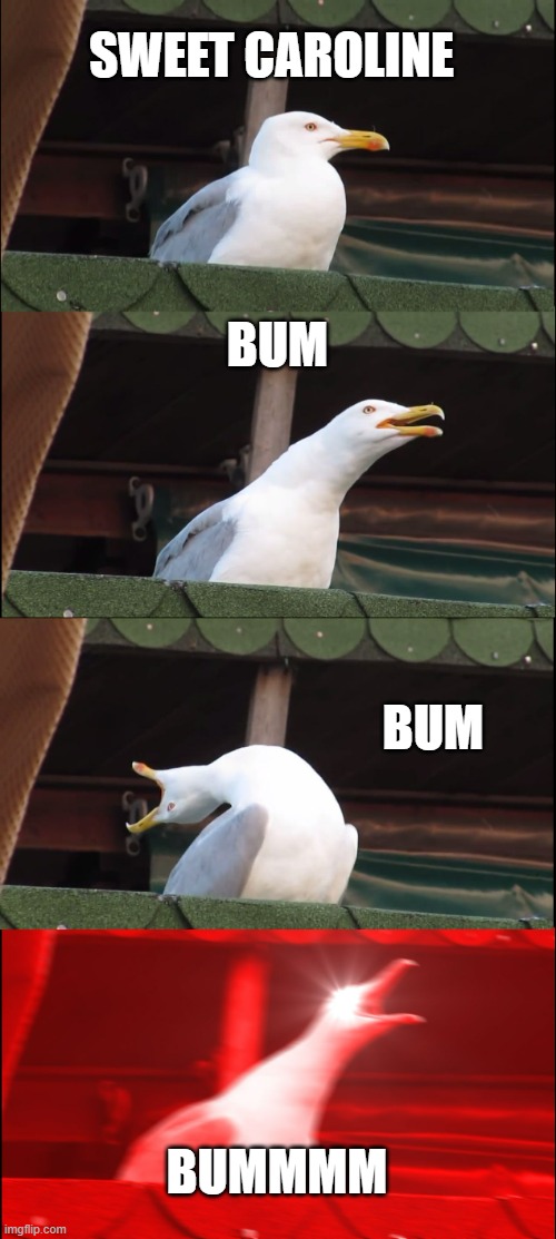 Inhaling Seagull Meme | SWEET CAROLINE; BUM; BUM; BUMMMM | image tagged in memes,inhaling seagull | made w/ Imgflip meme maker