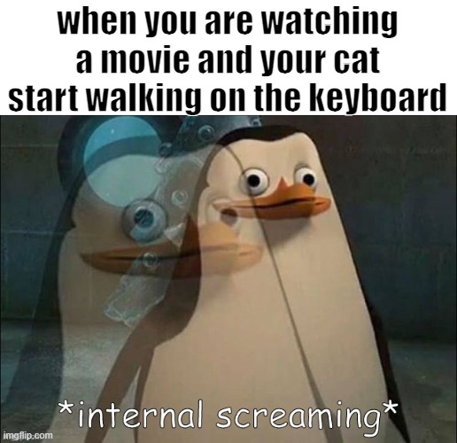 Private Internal Screaming | when you are watching a movie and your cat start walking on the keyboard | image tagged in private internal screaming,memes,cats,movies,funny | made w/ Imgflip meme maker