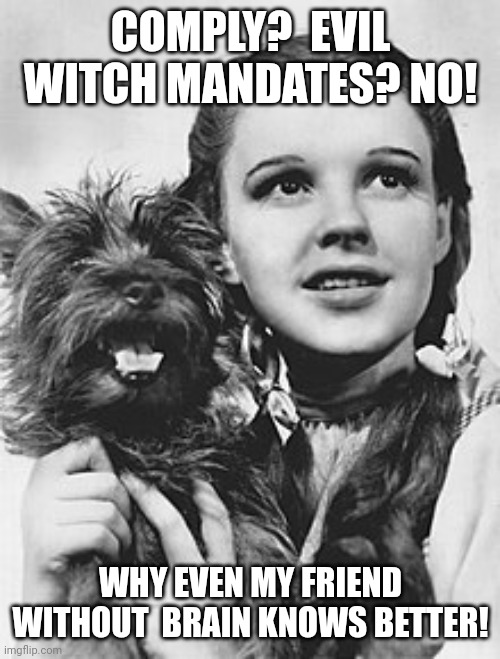 Dorothy | COMPLY?  EVIL WITCH MANDATES? NO! WHY EVEN MY FRIEND WITHOUT  BRAIN KNOWS BETTER! | image tagged in anti vax | made w/ Imgflip meme maker