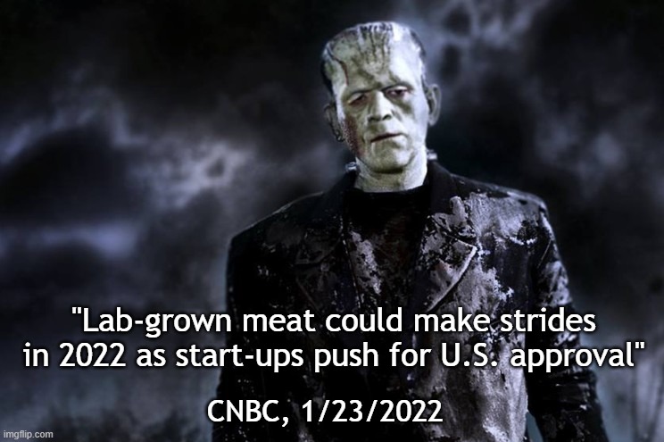 Big Ugly Frankentstein | "Lab-grown meat could make strides in 2022 as start-ups push for U.S. approval"; CNBC, 1/23/2022 | image tagged in big ugly frankentstein | made w/ Imgflip meme maker