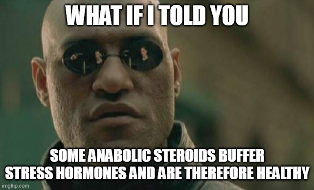 anabolic steroids buffer stress hormones | WHAT IF I TOLD YOU; SOME ANABOLIC STEROIDS BUFFER STRESS HORMONES AND ARE THEREFORE HEALTHY | image tagged in memes,matrix morpheus | made w/ Imgflip meme maker