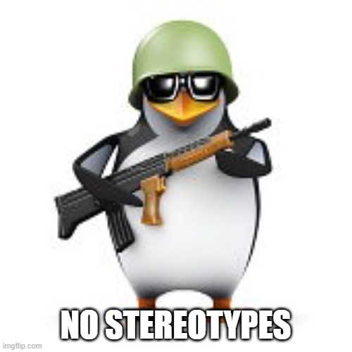 no anime penguin | NO STEREOTYPES | image tagged in no anime penguin | made w/ Imgflip meme maker