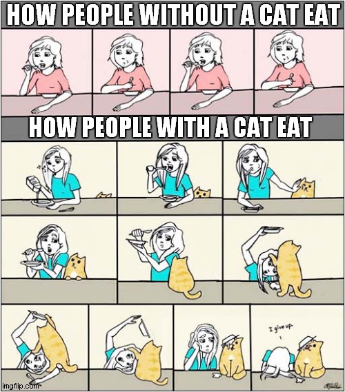 Looks Familiar ? | HOW PEOPLE WITHOUT A CAT EAT; HOW PEOPLE WITH A CAT EAT | image tagged in cats,cartoon,eating | made w/ Imgflip meme maker