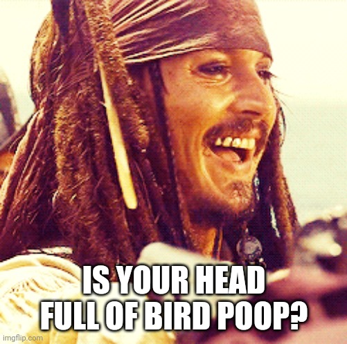 JACK LAUGH | IS YOUR HEAD FULL OF BIRD POOP? | image tagged in jack laugh | made w/ Imgflip meme maker