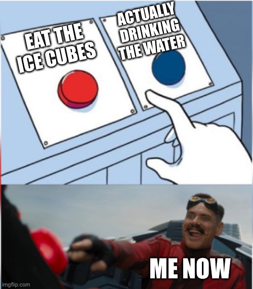 Robotnik Pressing Red Button | EAT THE ICE CUBES ACTUALLY DRINKING THE WATER ME NOW | image tagged in robotnik pressing red button | made w/ Imgflip meme maker