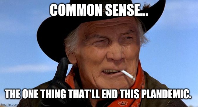 It's rare these days. | COMMON SENSE... THE ONE THING THAT'LL END THIS PLANDEMIC. | image tagged in just one thing | made w/ Imgflip meme maker