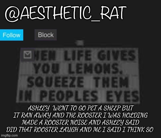 Aesthetic_Rat | ASHLEY  WENT TO GO PET A SHEEP BUT IT RAN AWAY AND THE ROOSTER I WAS HOLDING MADE A ROOSTER NOISE AND ASHLEY SAID DID THAT ROOSTER LAUGH AND ME I SAID I THINK SO | image tagged in aesthetic_rat | made w/ Imgflip meme maker