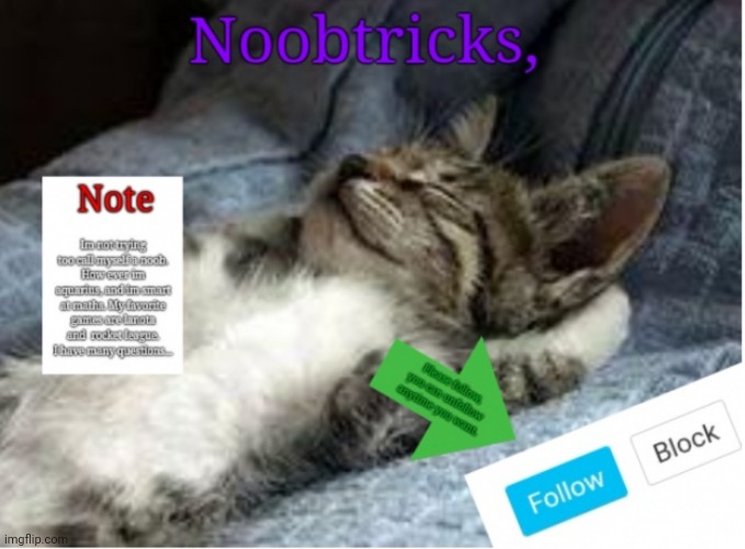 Noobtricks banner | image tagged in memes | made w/ Imgflip meme maker