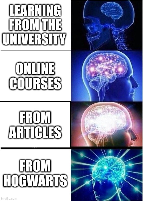 expand | LEARNING FROM THE UNIVERSITY; ONLINE COURSES; FROM ARTICLES; FROM HOGWARTS | image tagged in memes,expanding brain | made w/ Imgflip meme maker