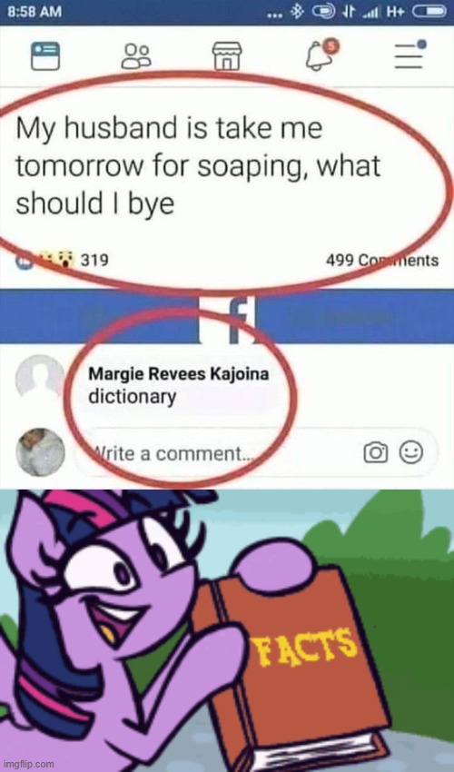 facts | image tagged in words,letters,symbolism,you wouldn't get it,oh look a pony | made w/ Imgflip meme maker