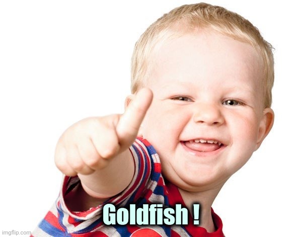 Thumbs Up Kid | Goldfish ! | image tagged in thumbs up kid | made w/ Imgflip meme maker