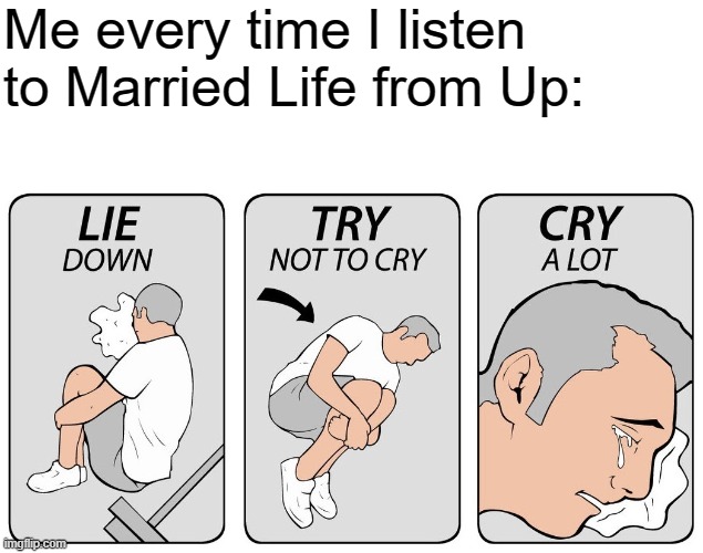 try not to cry | Me every time I listen to Married Life from Up: | image tagged in try not to cry | made w/ Imgflip meme maker