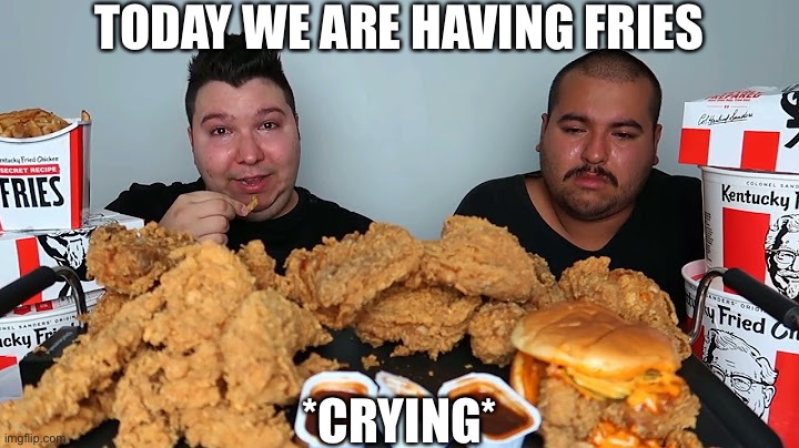 Today we are having fries | TODAY WE ARE HAVING FRIES; *CRYING* | image tagged in eating,lol,crying | made w/ Imgflip meme maker