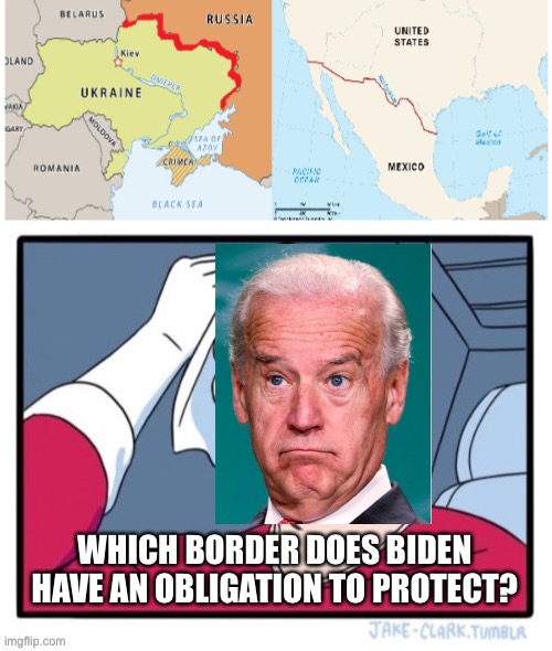 Which Border Does Biden Protect? | WHICH BORDER DOES BIDEN HAVE AN OBLIGATION TO PROTECT? | image tagged in two buttons,border,joe biden | made w/ Imgflip meme maker