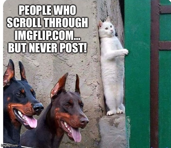 People Who Scroll Through Imgflip.com… But Never Post | PEOPLE WHO SCROLL THROUGH IMGFLIP.COM… BUT NEVER POST! | image tagged in hidden cat | made w/ Imgflip meme maker