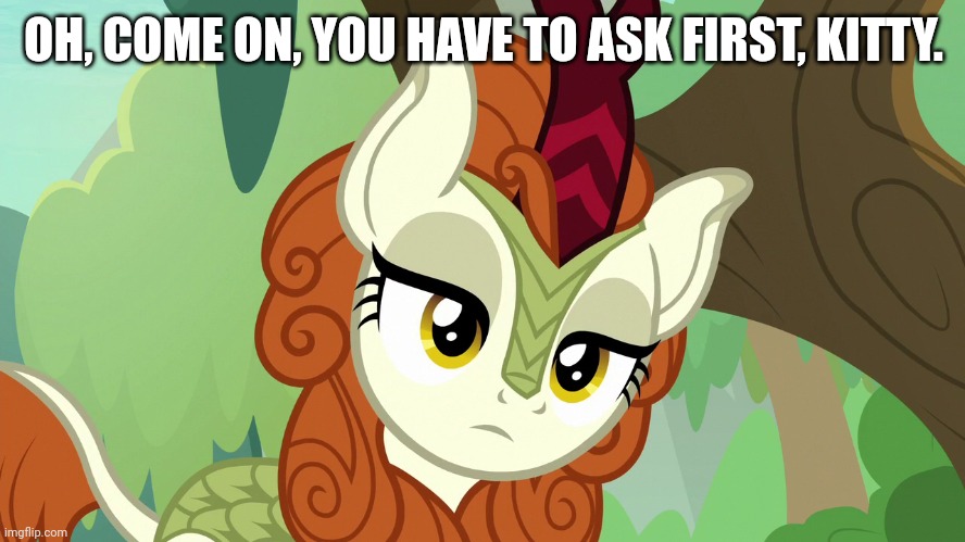 Emotionless Autumn Blaze (MLP) | OH, COME ON, YOU HAVE TO ASK FIRST, KITTY. | image tagged in emotionless autumn blaze mlp | made w/ Imgflip meme maker