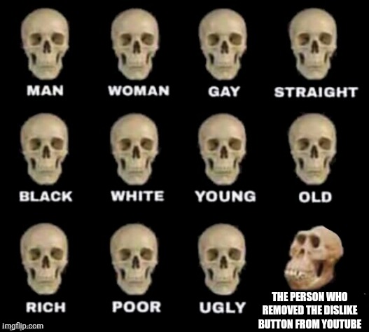 idiot skull | THE PERSON WHO REMOVED THE DISLIKE BUTTON FROM YOUTUBE | image tagged in idiot skull,memes,fun,youtube,internet,funny memes | made w/ Imgflip meme maker