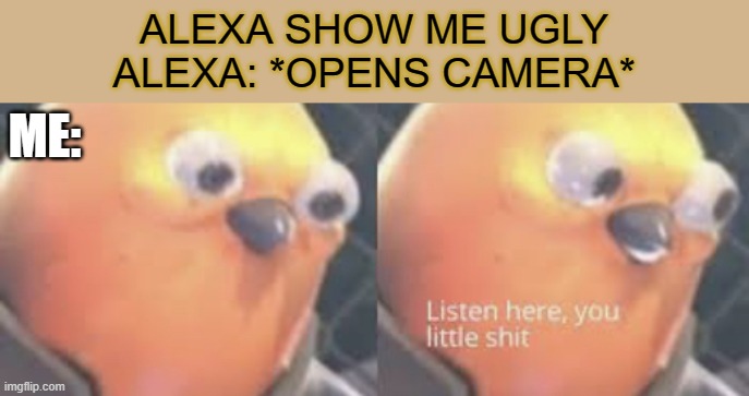 My computer she pointed the camera right at me O-o |  ALEXA SHOW ME UGLY
ALEXA: *OPENS CAMERA*; ME: | image tagged in alexa,obama no listen,radiation zombie week,christian bale with axe,godzilla,raydog for president | made w/ Imgflip meme maker