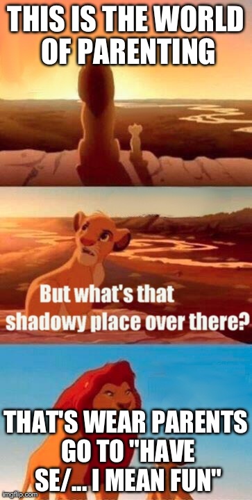Simba Shadowy Place Meme | THIS IS THE WORLD OF PARENTING THAT'S WEAR PARENTS GO TO "HAVE SE/... I MEAN FUN" | image tagged in memes,simba shadowy place | made w/ Imgflip meme maker