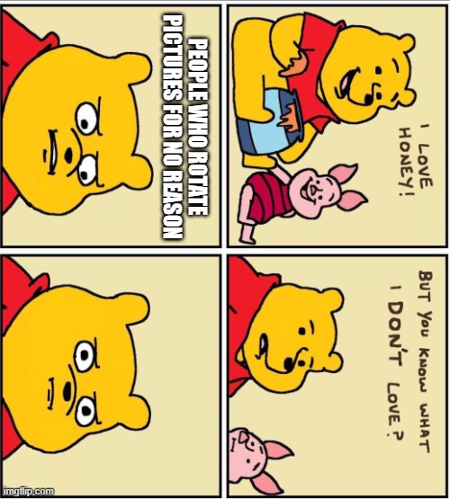 why? | PEOPLE WHO ROTATE PICTURES FOR NO REASON | image tagged in serious winnie the pooh | made w/ Imgflip meme maker