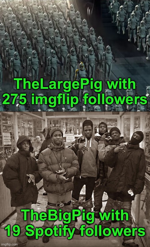 FOLLOW ME ON SPOTIFY OR I WILL CRY | TheLargePig with 275 imgflip followers; TheBigPig with 19 Spotify followers | image tagged in clone trooper army,all my homies hate | made w/ Imgflip meme maker