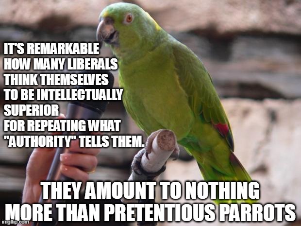 Ugly and annoying parrots at that.  Real parrots are much nicer to have around. | IT'S REMARKABLE HOW MANY LIBERALS THINK THEMSELVES TO BE INTELLECTUALLY SUPERIOR FOR REPEATING WHAT "AUTHORITY" TELLS THEM. THEY AMOUNT TO NOTHING MORE THAN PRETENTIOUS PARROTS | image tagged in parrot,democrats,liberal logic,stupid liberals | made w/ Imgflip meme maker