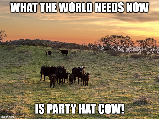 Party Hat Cow | WHAT THE WORLD NEEDS NOW; IS PARTY HAT COW! | image tagged in party hat cow | made w/ Imgflip meme maker