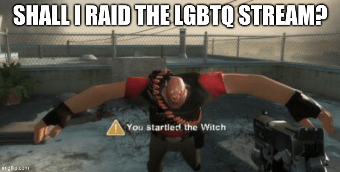 You startled the witch | SHALL I RAID THE LGBTQ STREAM? | image tagged in you startled the witch | made w/ Imgflip meme maker