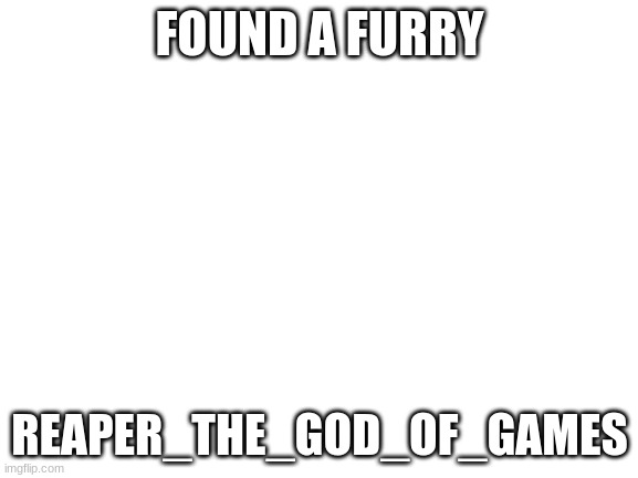 Blank White Template | FOUND A FURRY; REAPER_THE_GOD_OF_GAMES | image tagged in blank white template | made w/ Imgflip meme maker