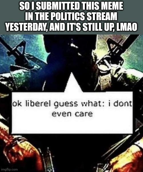 If you want link, I'll give you it | SO I SUBMITTED THIS MEME IN THE POLITICS STREAM YESTERDAY, AND IT'S STILL UP, LMAO | image tagged in guess what liberal i don't care | made w/ Imgflip meme maker