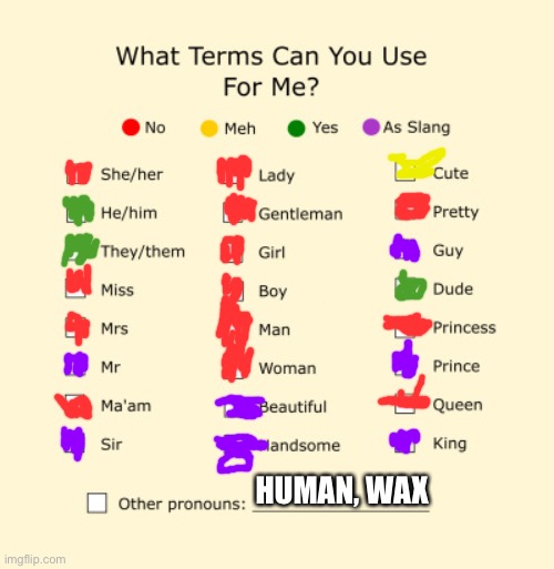 I am wax | HUMAN, WAX | image tagged in pronouns sheet | made w/ Imgflip meme maker
