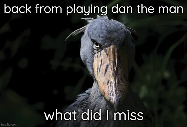 shoebill | back from playing dan the man; what did I miss | image tagged in shoebill | made w/ Imgflip meme maker