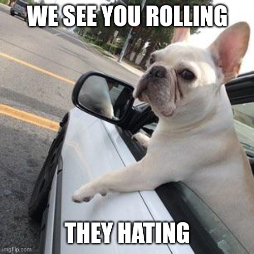 They see me rollin' | WE SEE YOU ROLLING THEY HATING | image tagged in they see me rollin' | made w/ Imgflip meme maker