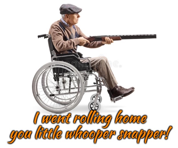 I went rolling home you little whooper snapper! | made w/ Imgflip meme maker