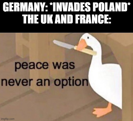 how ww2 started | GERMANY: *INVADES POLAND*
THE UK AND FRANCE: | image tagged in peace was never an option | made w/ Imgflip meme maker