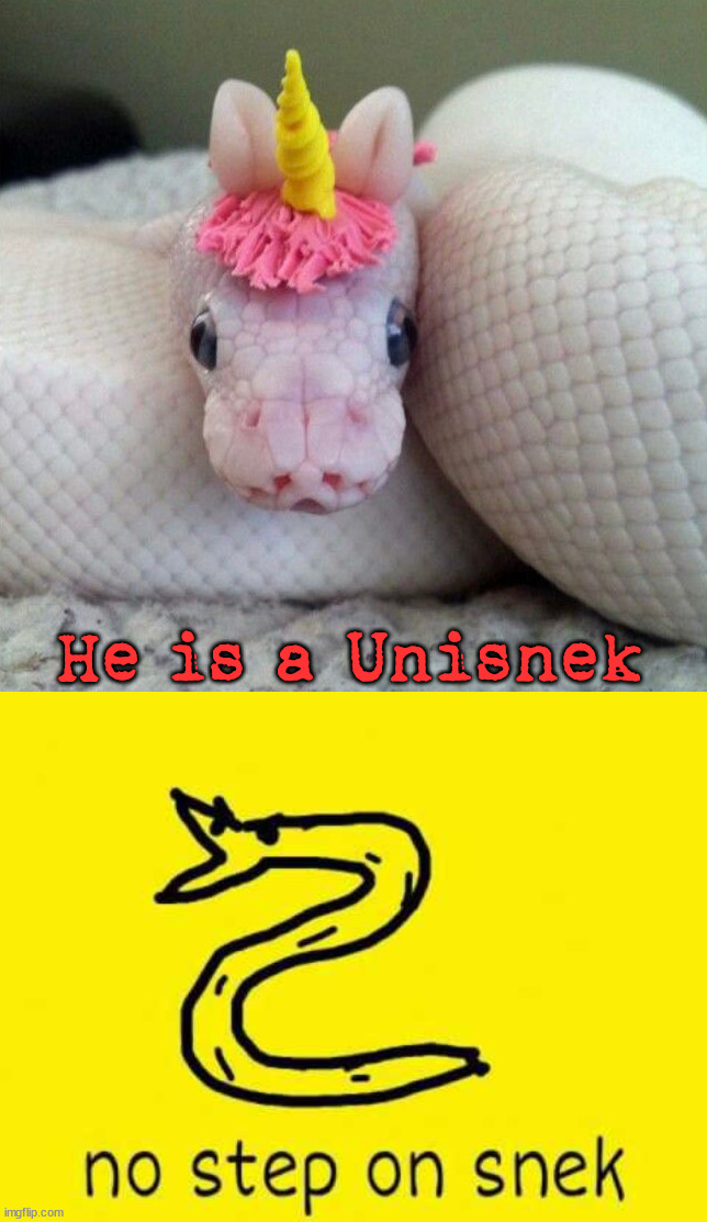 Cute Unisnek |  He is a Unisnek | image tagged in no step on snek,snek | made w/ Imgflip meme maker
