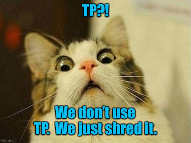 Scared Cat Meme | TP?! We don’t use TP.  We just shred it. | image tagged in memes,scared cat | made w/ Imgflip meme maker
