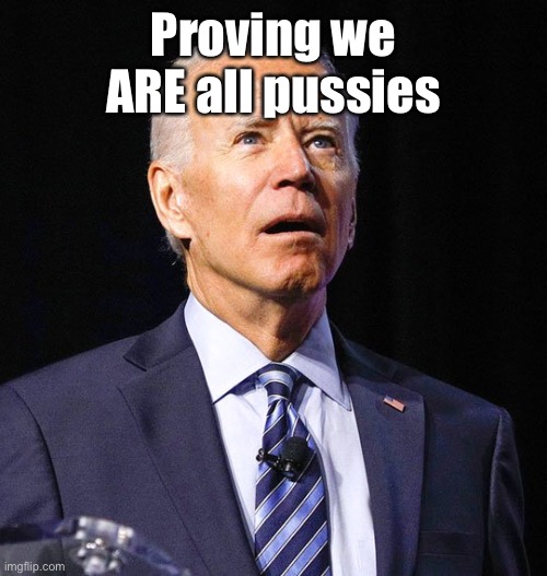 Joe Biden | Proving we ARE all pussies | image tagged in joe biden | made w/ Imgflip meme maker