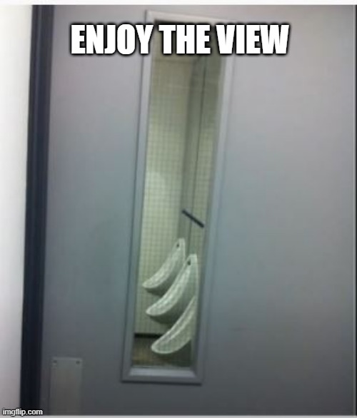 Wang Vision | ENJOY THE VIEW | image tagged in you had one job | made w/ Imgflip meme maker
