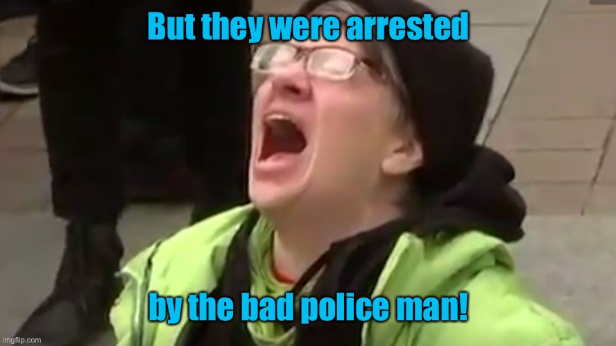 Screaming Liberal  | But they were arrested by the bad police man! | image tagged in screaming liberal | made w/ Imgflip meme maker