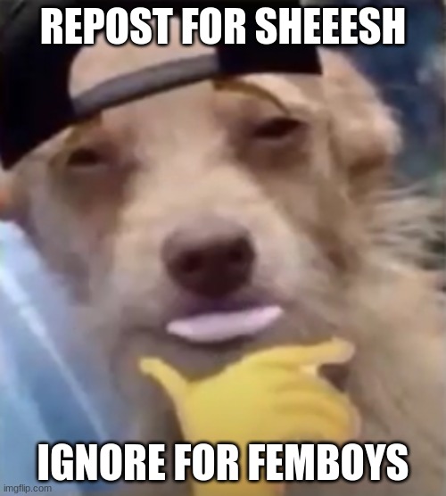 femboys should die | REPOST FOR SHEEESH; IGNORE FOR FEMBOYS | made w/ Imgflip meme maker